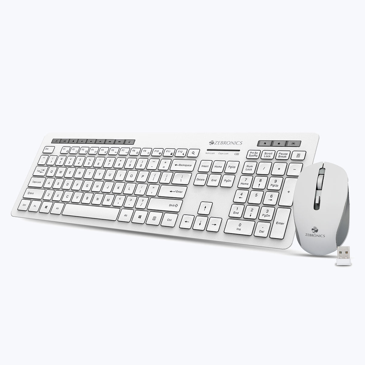 Zebronics Companion 500 Wireless Keyboard & Mouse Combo