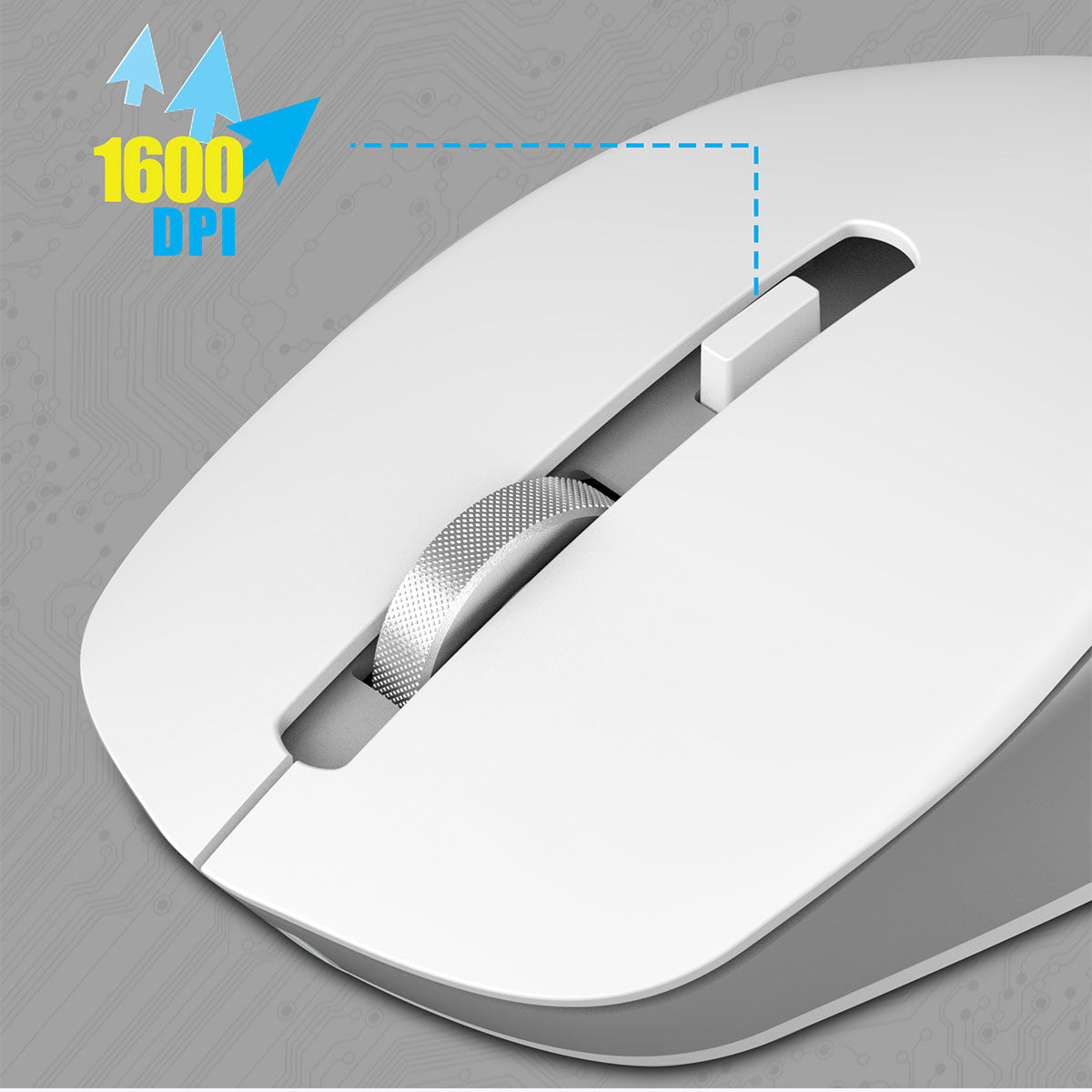 Zebronics Companion 500 Wireless Keyboard & Mouse Combo